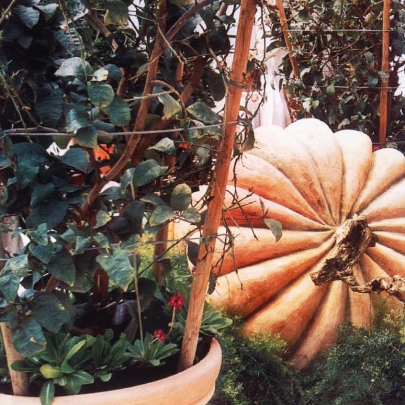 Citrouille (Carrosse de Cendrillon), Monaco